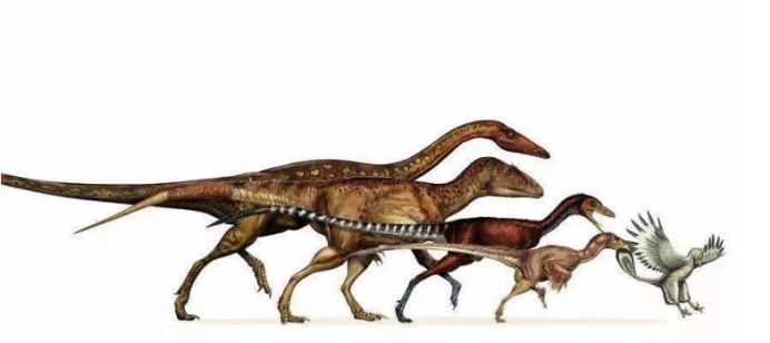 生物学家|远古的鸡有多大？爪子就有一只狗那么大，生物学家揭穿它的真面目
