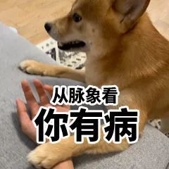 跟你超配的沙雕表情包!