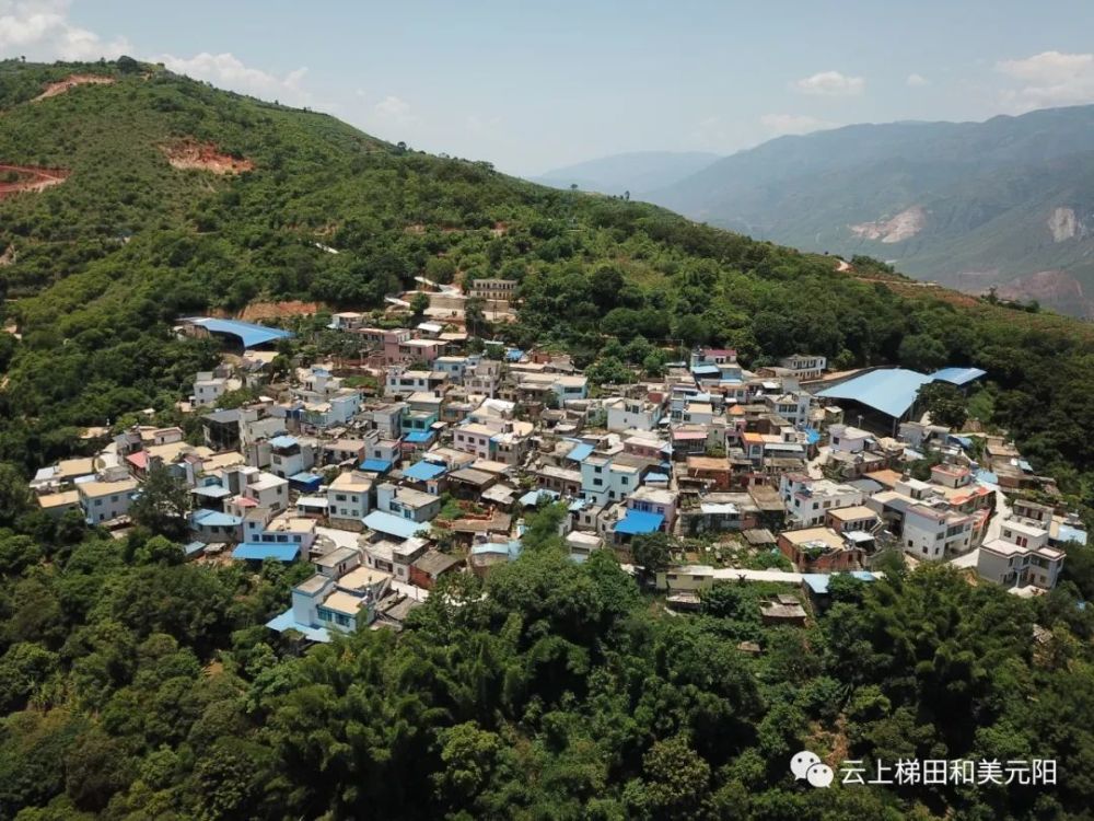 走进我们的小康生活牛街人民把日子过牛了