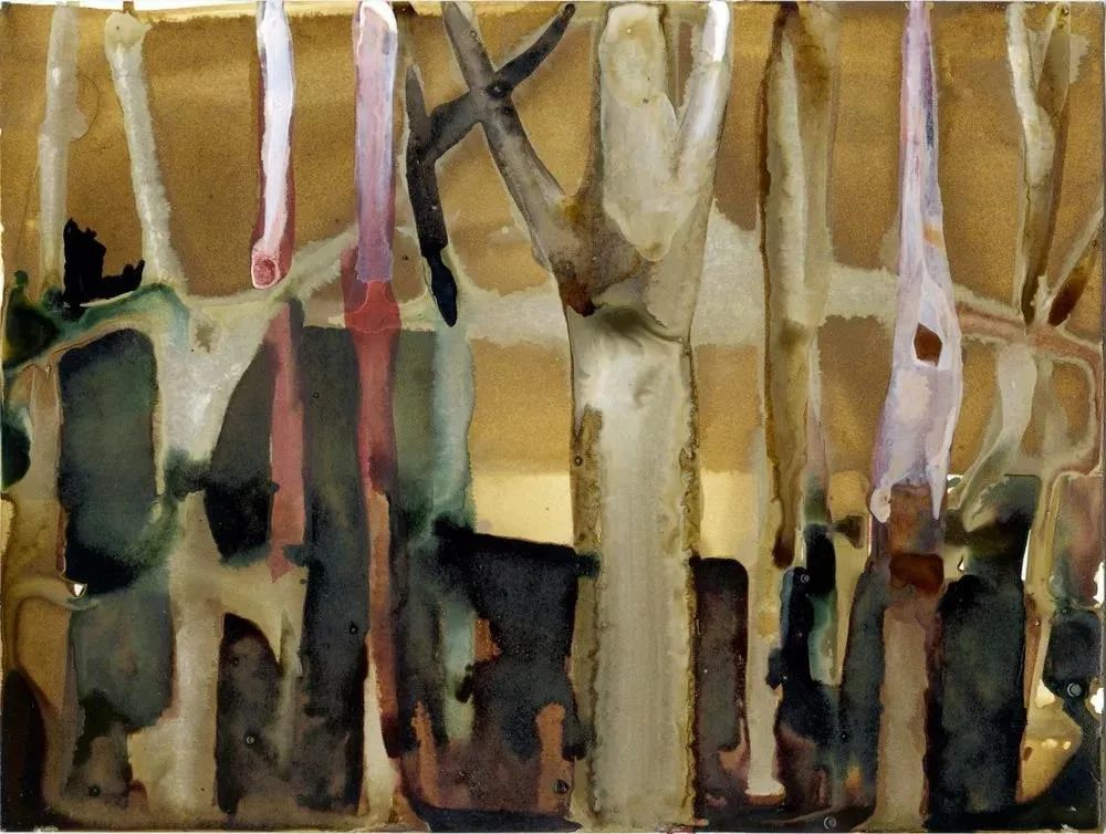 维特根斯坦的侄子|五光徘徊，十色陆离