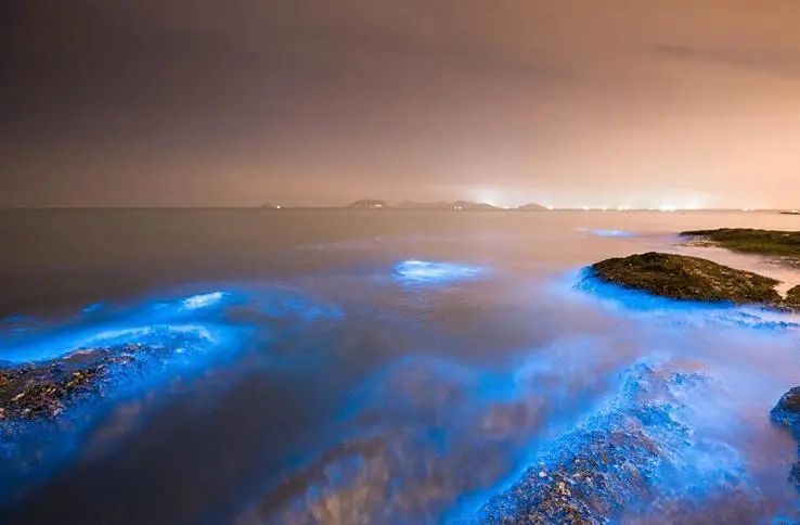 你肯定没见过青岛这里能看到荧光海滩