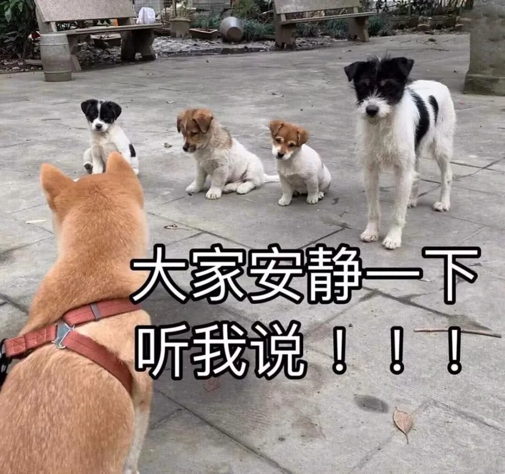 刘亦菲|刘亦菲们的美貌，都是“妆”出来的？