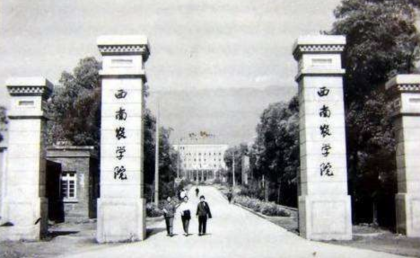 袁隆平|90岁袁隆平3位孙女曝光后，我又去了解了他的父母，更不淡定了…