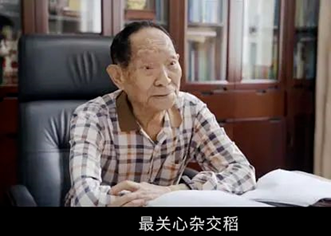 袁隆平|90岁袁隆平3位孙女曝光后，我又去了解了他的父母，更不淡定了…