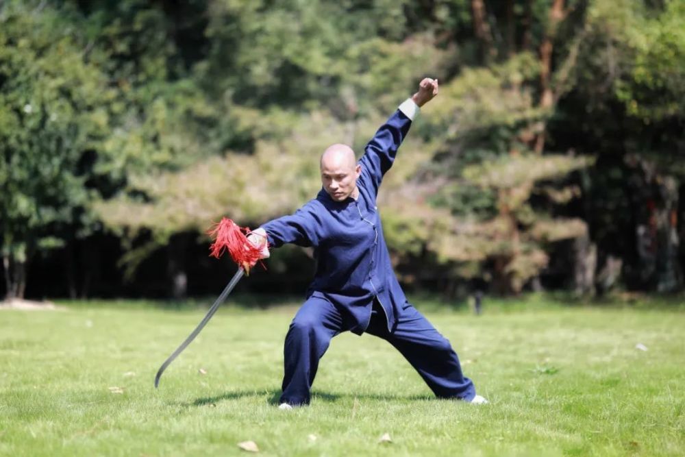 徐建民(藝名:陳德民) 自幼習練少林拳\長拳;青少年開始學習散打.