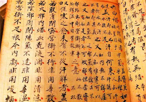 聊复集·怪症汇纂|清宫御医的手稿现世，估价2.16亿，网友：字迹要甩现代医生几条街