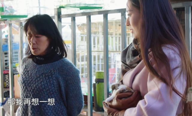 吉娜|吉娜为1岁宠物兔庆生，郎朗弹钢琴助兴，幸福温馨像一家三口