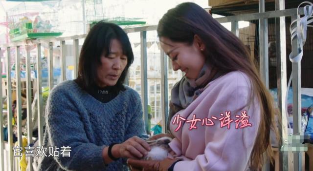 吉娜|吉娜为1岁宠物兔庆生，郎朗弹钢琴助兴，幸福温馨像一家三口