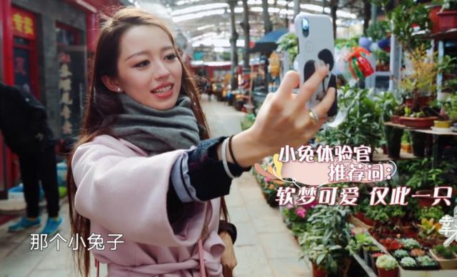 吉娜|吉娜为1岁宠物兔庆生，郎朗弹钢琴助兴，幸福温馨像一家三口