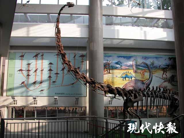 霸王龙|已灭绝的霸王龙有多重？科学家：五吨到十几吨不等