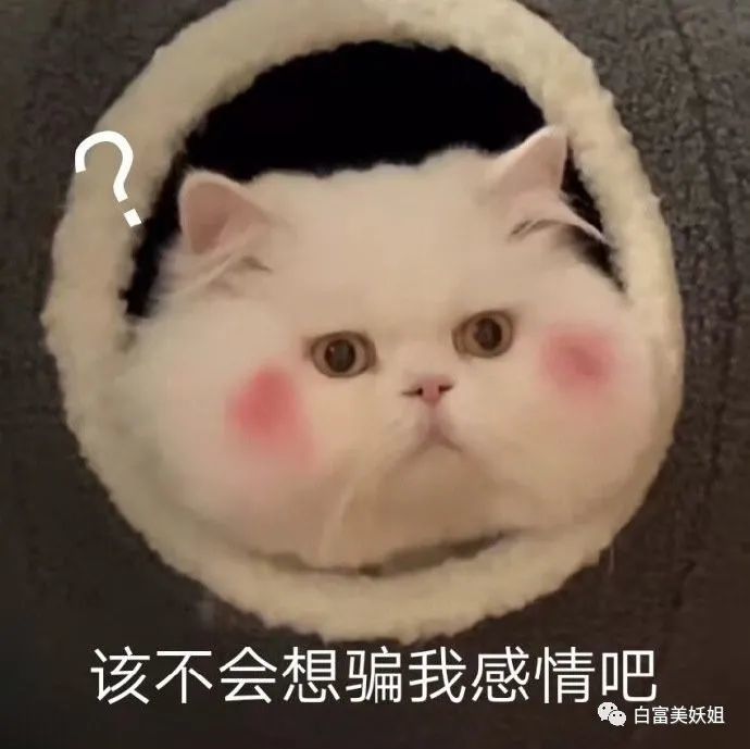 一番星|因一张图被说照骗带80w粉网暴路人，快手神颜真社会…