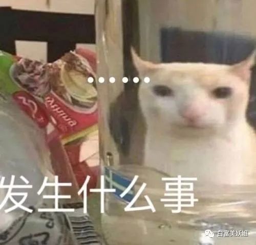 一番星|因一张图被说照骗带80w粉网暴路人，快手神颜真社会…