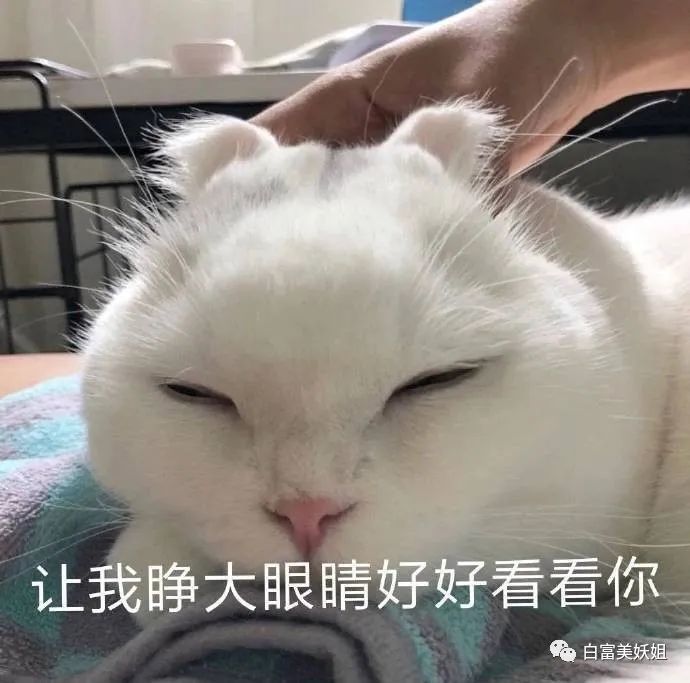 一番星|因一张图被说照骗带80w粉网暴路人，快手神颜真社会…