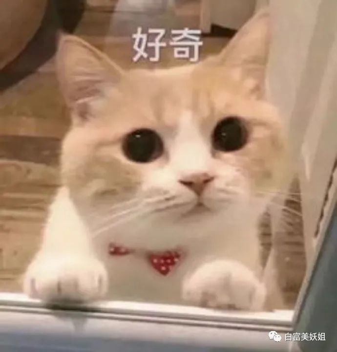 一番星|因一张图被说照骗带80w粉网暴路人，快手神颜真社会…