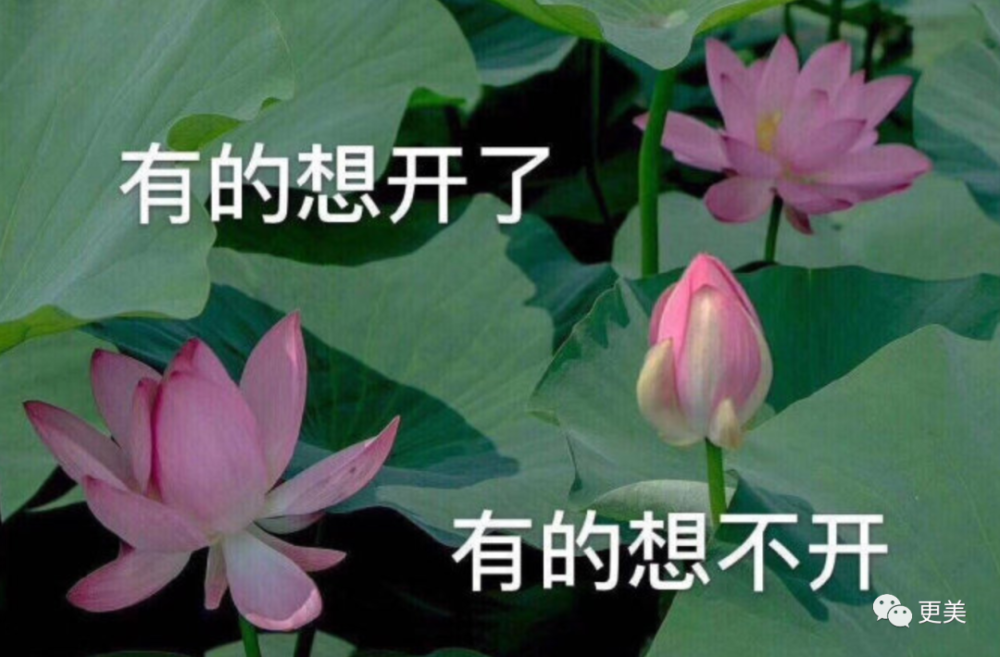 浪姐|浪姐成团，成今年综艺最大的笑话…