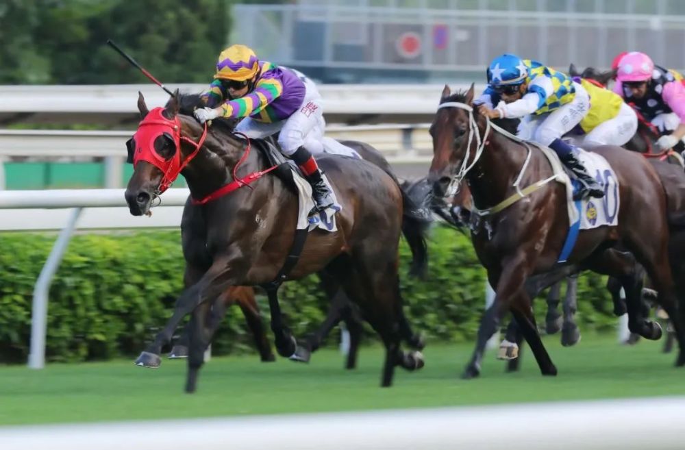 太厉害 昨天香港新马季开锣赛闭门谢客赛马 仅场外总投注额达13 76亿 打破历年纪录 腾讯新闻