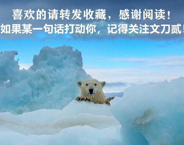 大s|汪小菲的怒问，披露他与大S徐熙媛的感情，一直在被恶意中伤