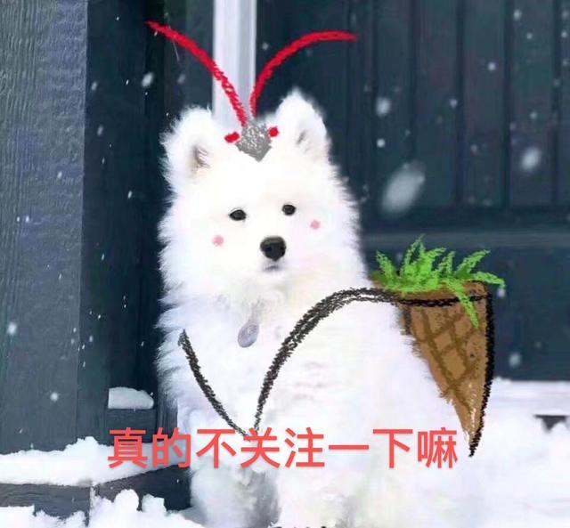 庆余年|2020年播放量最高的8部电视剧，庆余年垫底，第一狂揽80亿