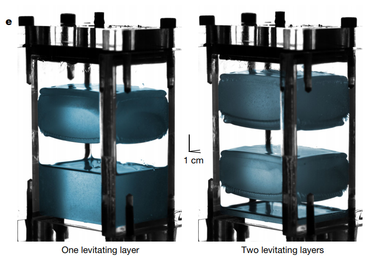 脊灰病毒|熟睡女子胃中取出蛇；非洲根除野生脊灰病毒；超加工食品加速端粒缩短