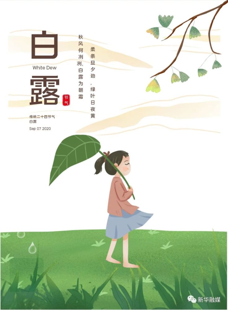 冰心|冰心一点润清秋