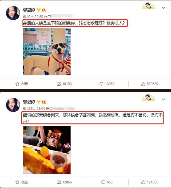 郭碧婷|向佐陪伴郭碧婷“卸货”，获岳父招待破婚变传闻，马上登记结婚？