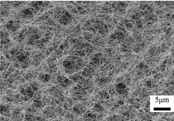 菌的椰子水换成了其他成本更低的糖溶液,最终产物依然是细菌纤维素