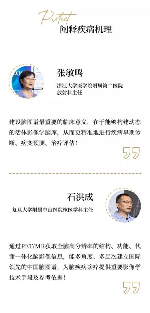 脑机接口|张旭院士领衔，共同探讨中国人脑图谱研究