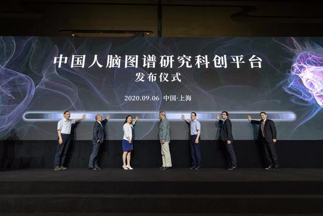 脑机接口|张旭院士领衔，共同探讨中国人脑图谱研究