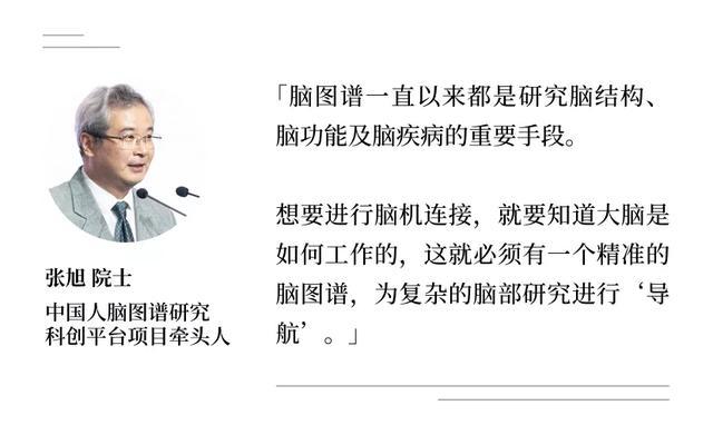 脑机接口|张旭院士领衔，共同探讨中国人脑图谱研究