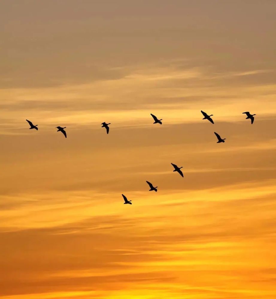 水月相逢人间仲秋