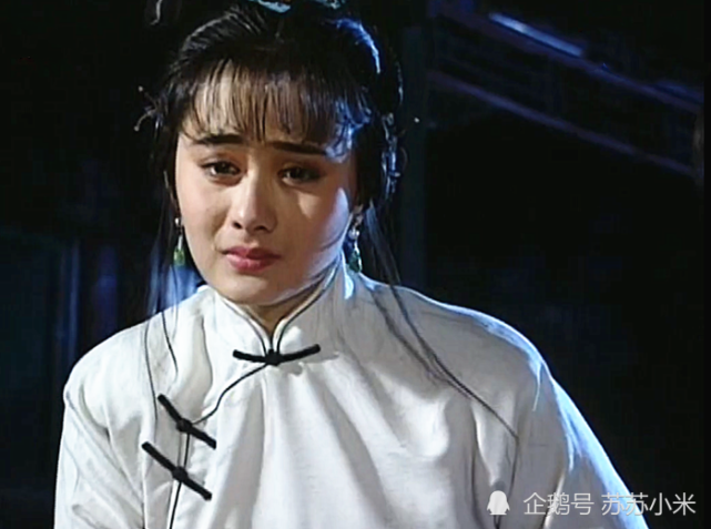 梅花烙:皓祯要纳妾,公主去告御状,皓祯一番话让皇上心服口服