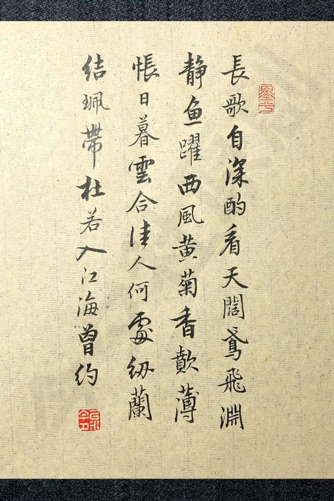 兰陵王·赋一丘一壑|今夕社小行书，辛弃疾《兰陵王》之二，看天阔鸢飞，渊静鱼跃