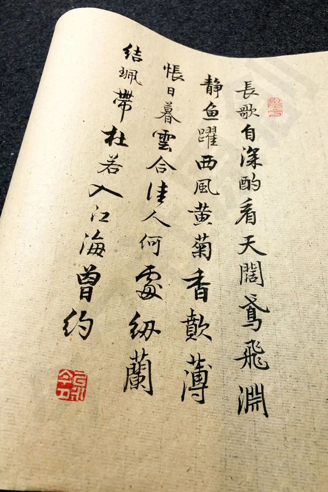 兰陵王·赋一丘一壑|今夕社小行书，辛弃疾《兰陵王》之二，看天阔鸢飞，渊静鱼跃
