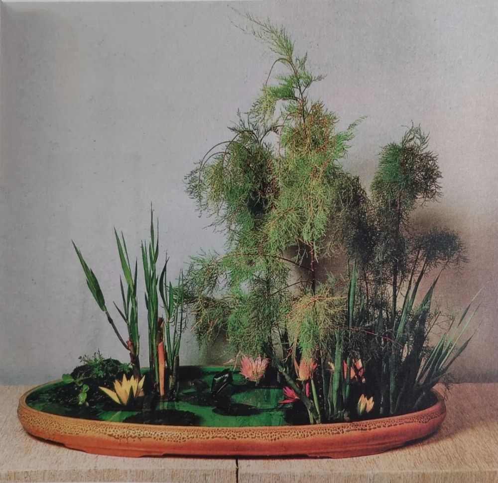 中国人的插花理念 天天看点