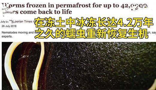 永久冻土层|冷冻人复活计划已有300人参与，但为什么至今没有一例复活？