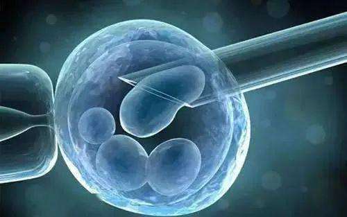 永久冻土层|冷冻人复活计划已有300人参与，但为什么至今没有一例复活？