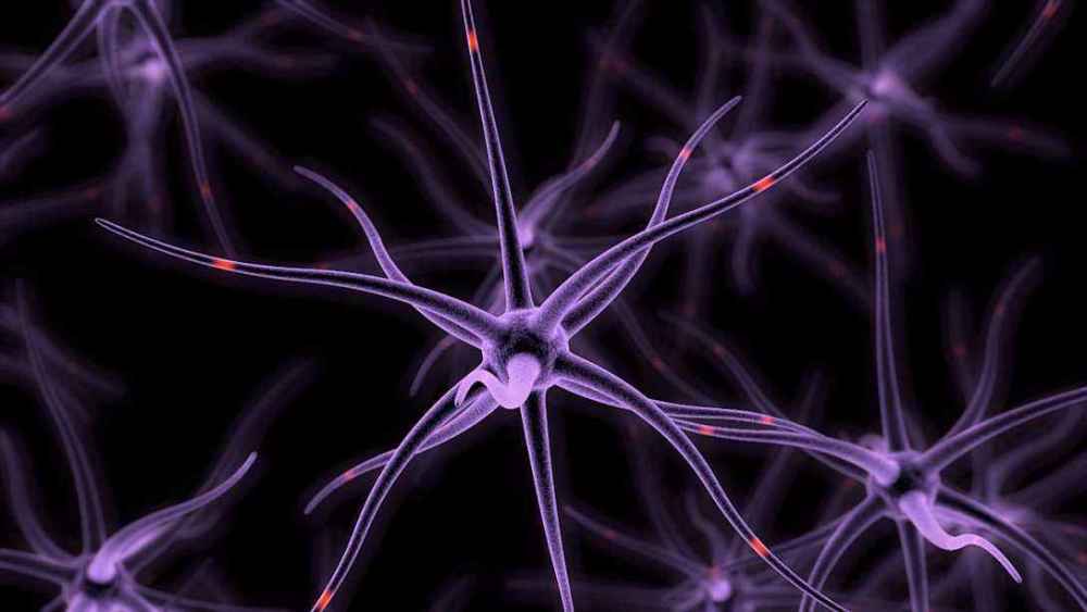 永久冻土层|冷冻人复活计划已有300人参与，但为什么至今没有一例复活？