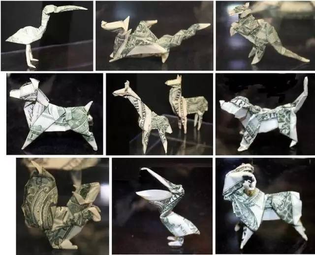 美国|这个人就是跟钱过不去