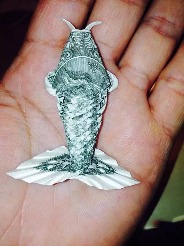 美国|这个人就是跟钱过不去