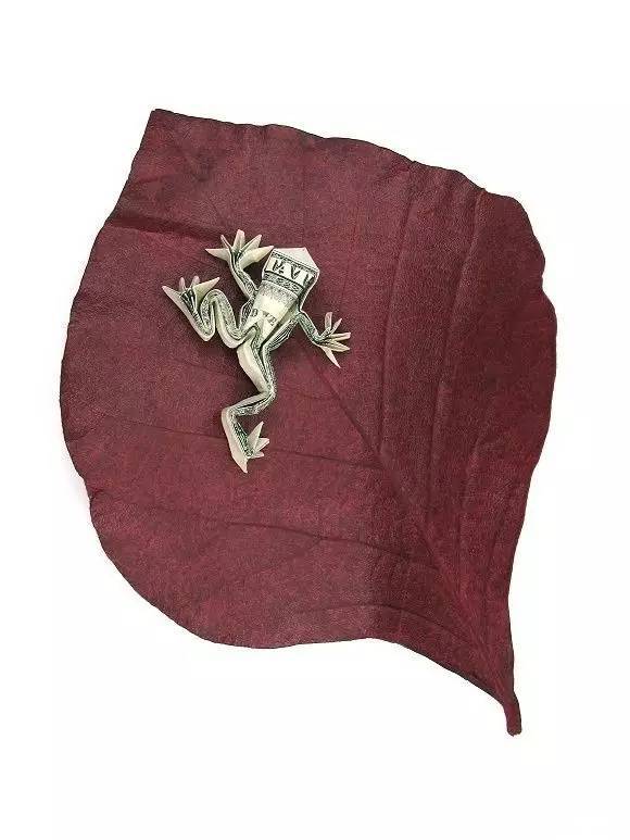 美国|这个人就是跟钱过不去