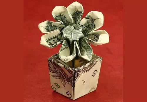 美国|这个人就是跟钱过不去