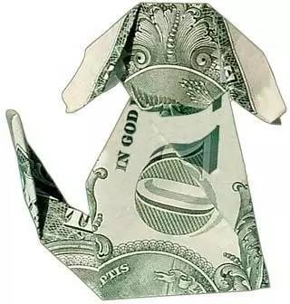 美国|这个人就是跟钱过不去