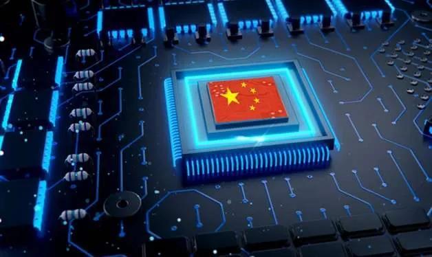 灭绝|中国本土猪要灭绝了？