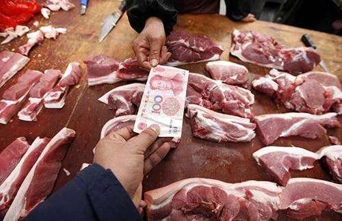 灭绝|中国本土猪要灭绝了？