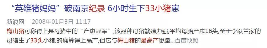 灭绝|中国本土猪要灭绝了？