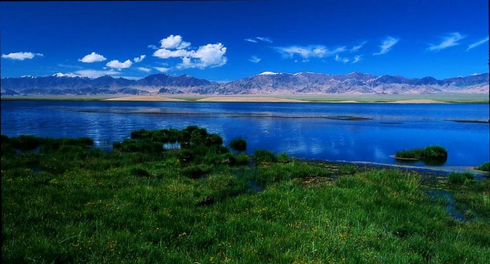 新疆的阿牙克库木湖,阿其克库勒湖,鲸鱼湖,博斯腾湖,艾比湖,乌伦古湖