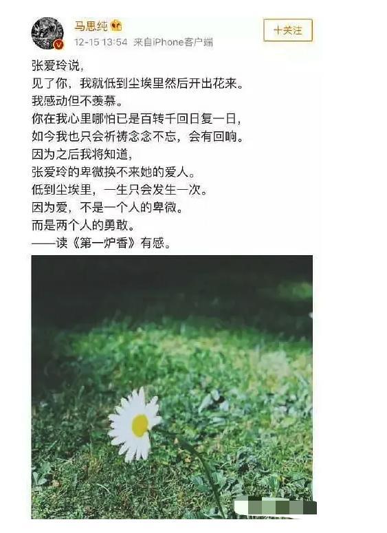 彭于晏|连俞飞鸿、彭于晏都被嘲，张爱玲的这部作品还有谁能演？