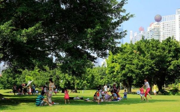 心理学:你想坐在哪棵大树底下乘凉?秒测你老了可以依靠谁?