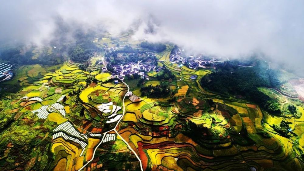 扬武镇联盟村:一个贫困村的"蝶变"之路