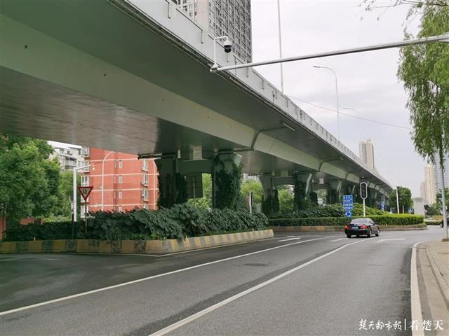 琴台大道高架桥涂上一种新型涂料不用做卫生也能干干净净